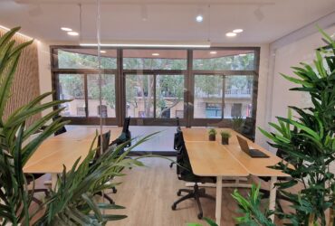 Coworking y sostenibilidad: espacios verdes y eco-friendly